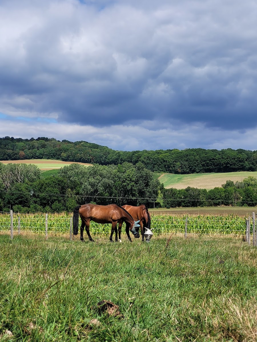Photo de FERME DE LA VALAINE
