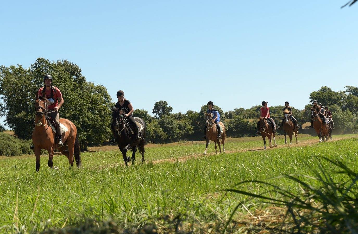 Photo de FERME DES PLANCHETTES