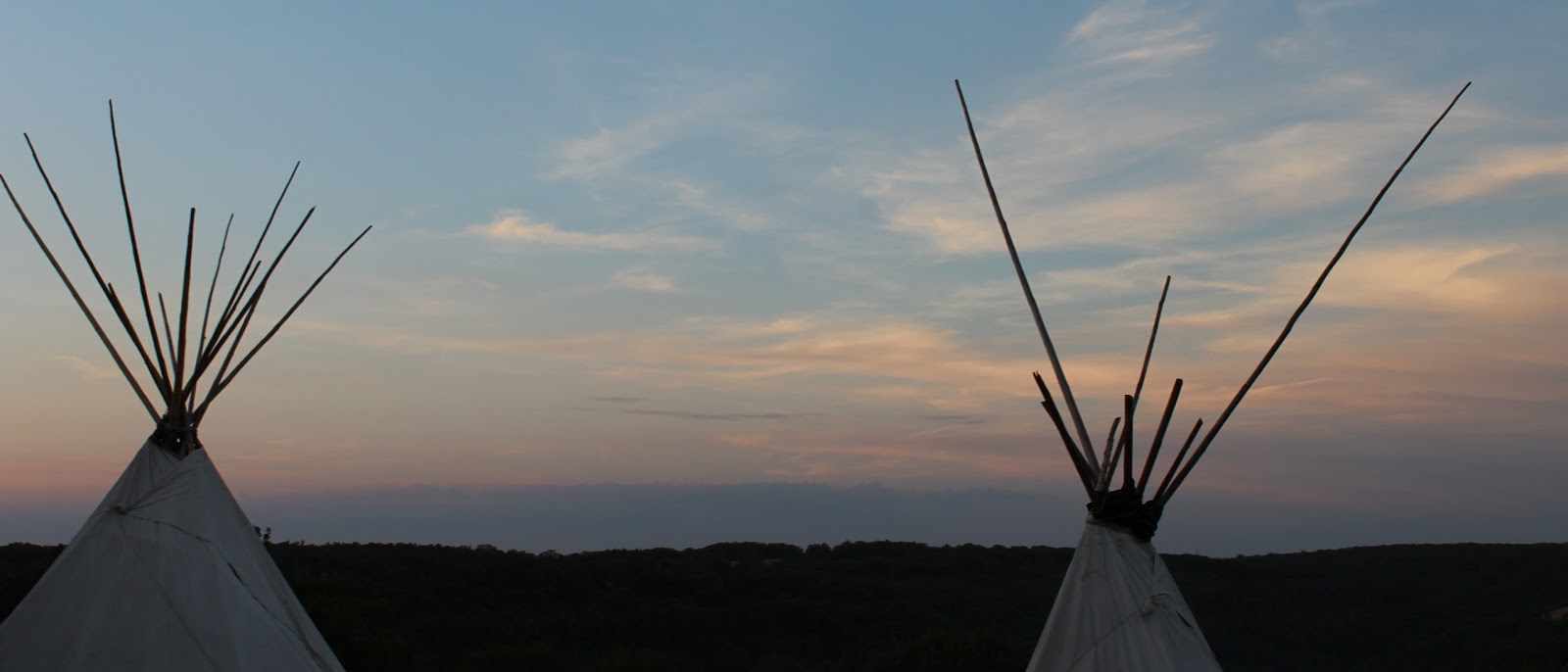 Photo de FERME DU MAS DE LAVAL EARL