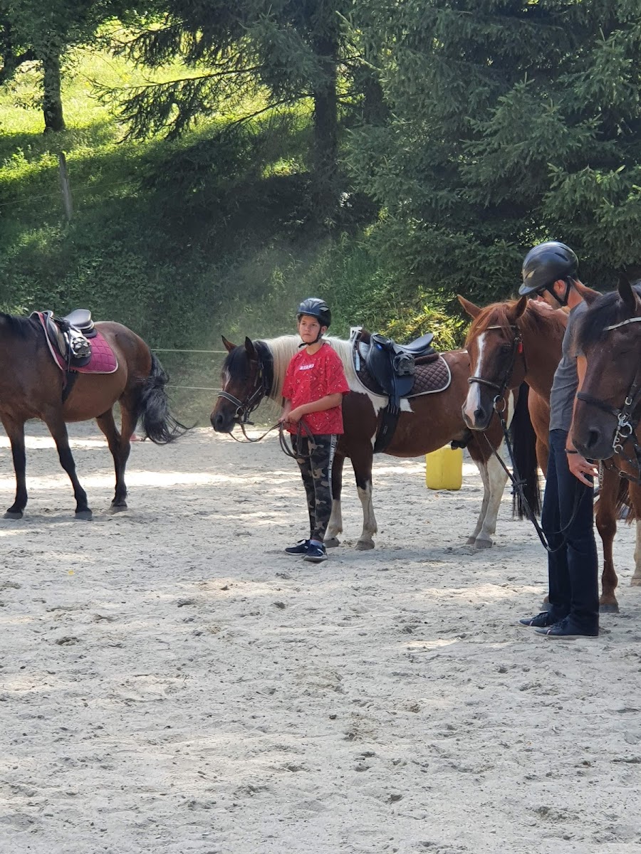 Photo de FERME EQUESTRE DE CANTALES