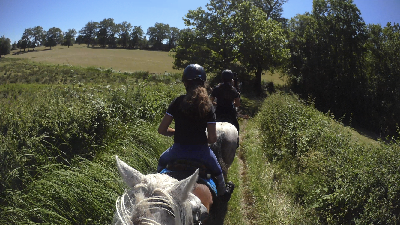 Photo de FERME EQUESTRE DE JOUX