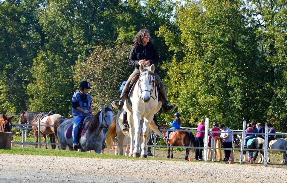 Photo de Ferme Equestre de la Grésigne