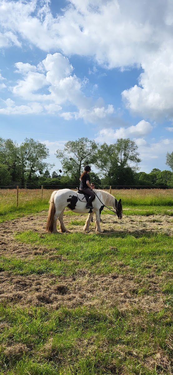 FERME EQUESTRE DE PERCY