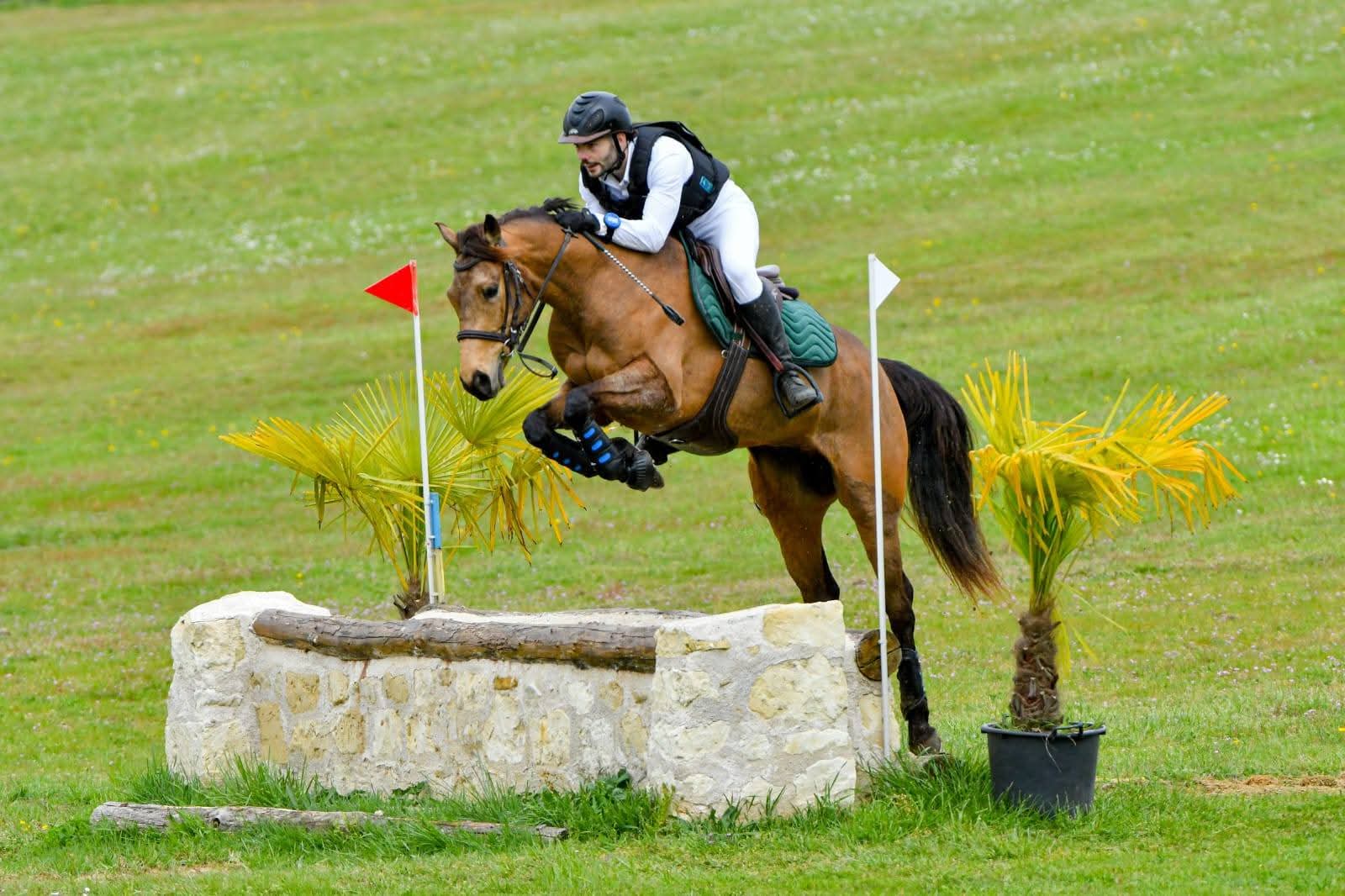 Photo de FERME EQUESTRE DU DERRE