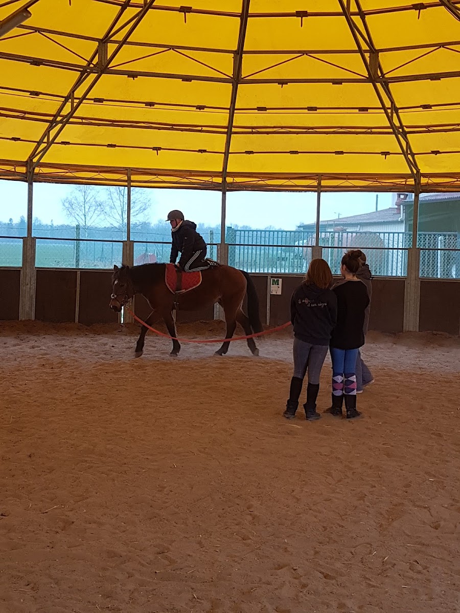 Photo de FERME EQUESTRE DU PETIT VILLERS