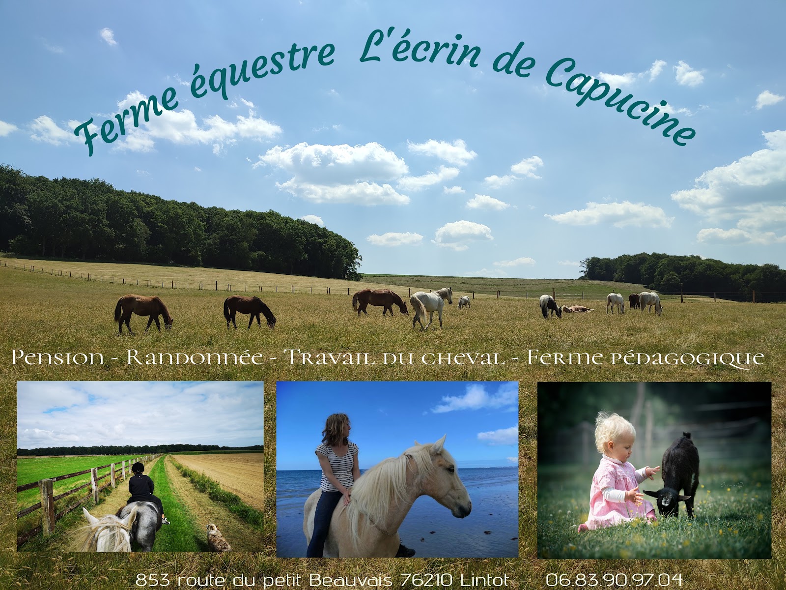 Photo de Ferme équestre L'écrin de Capucine
