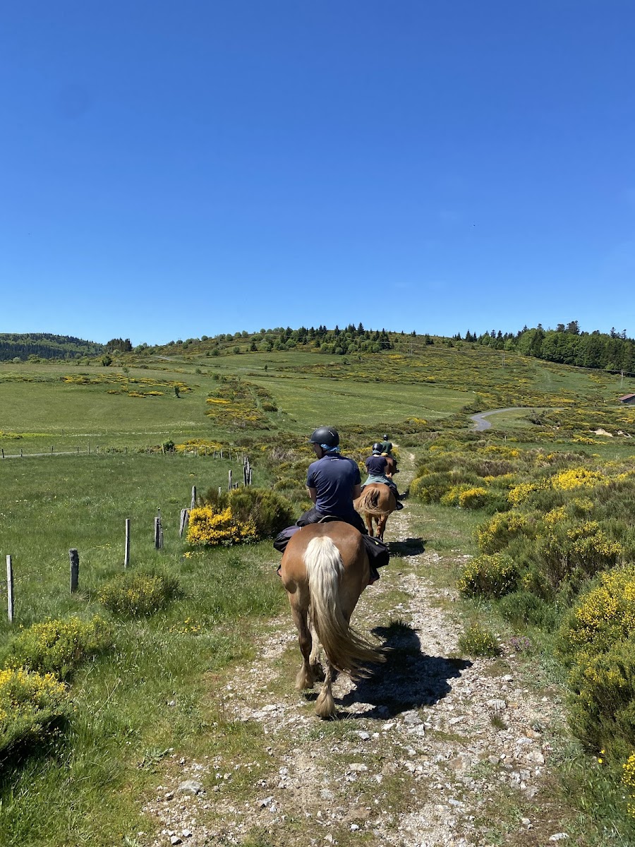 Photo de FERME EQUESTRE L EPERON