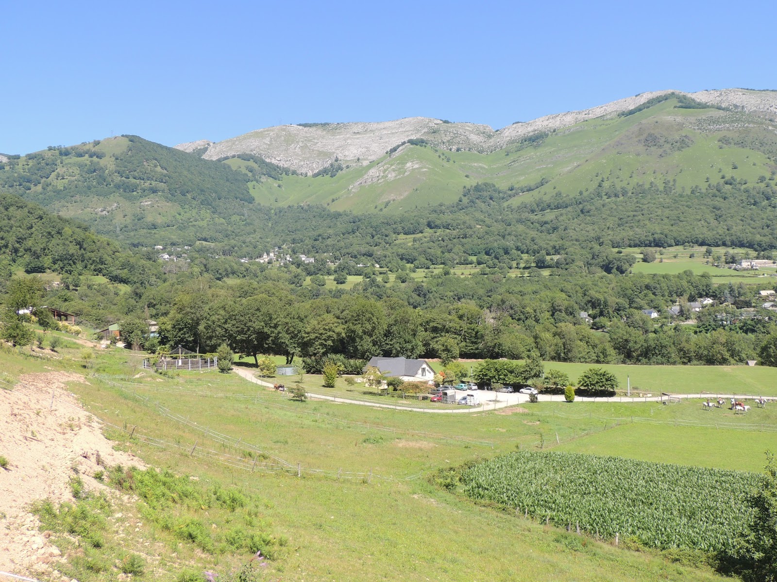 Photo de FERME EQUESTRE LE BOURDALAT
