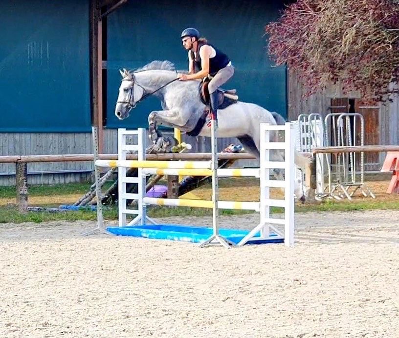 Photo de FOELLER SPORT HORSES