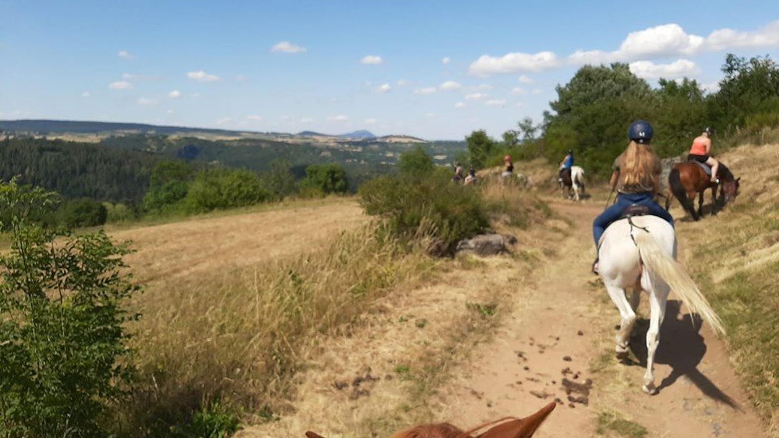 Photo de GALOPINS DU SANCY