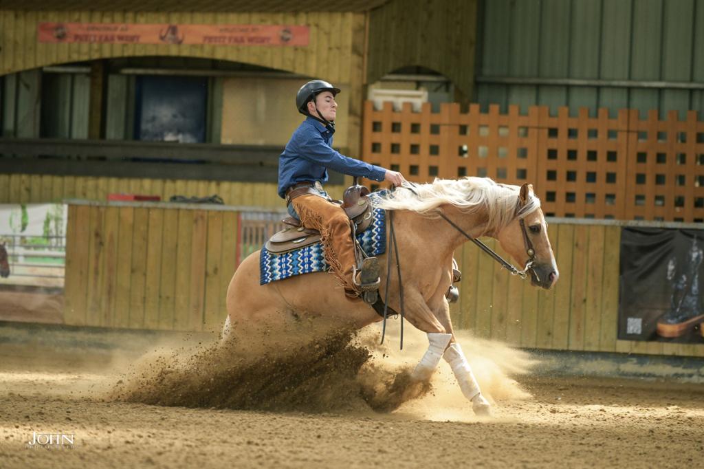 GREG S BARN QUARTER HORSE