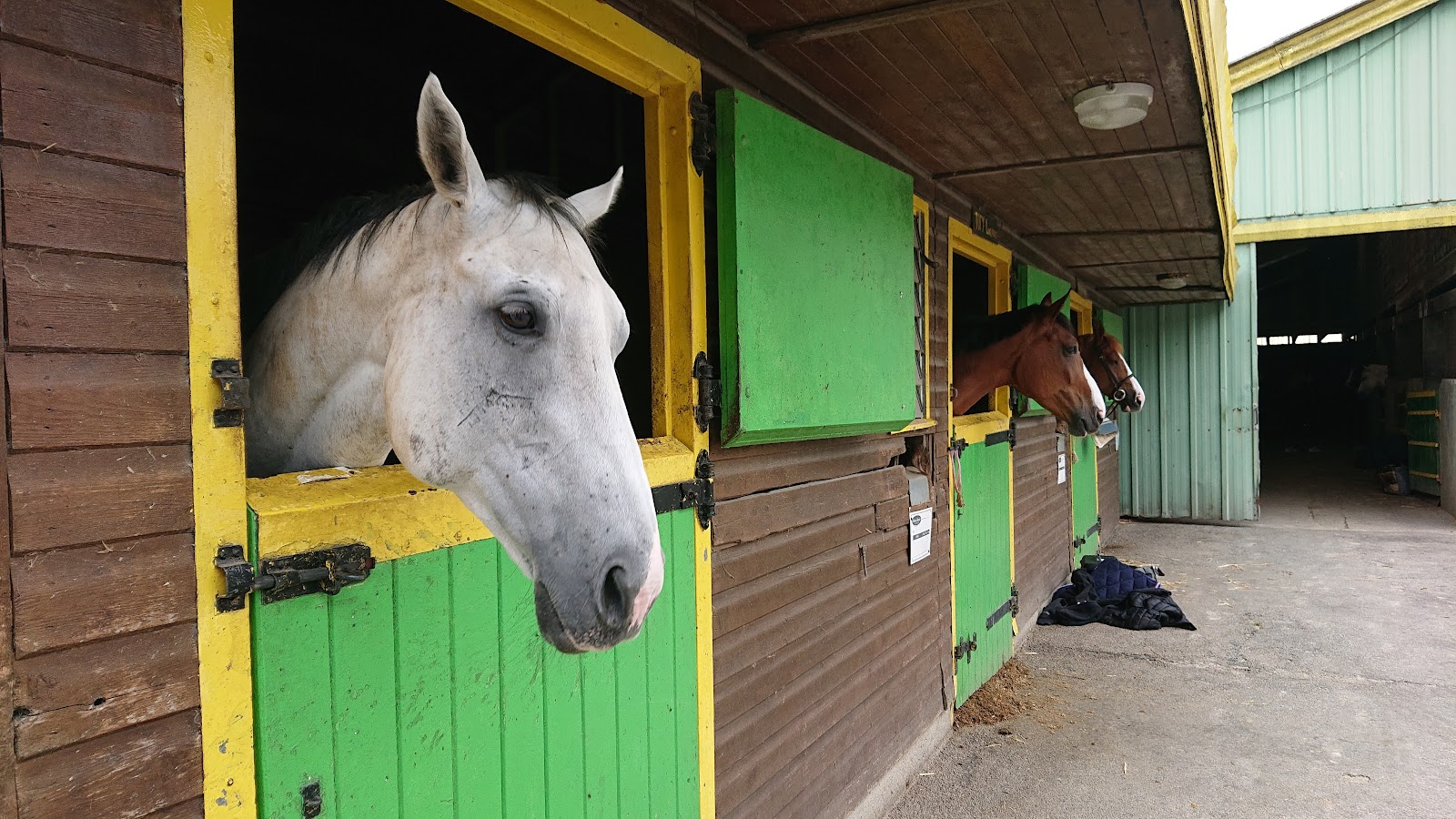 Photo de GUILERS EQUITATION
