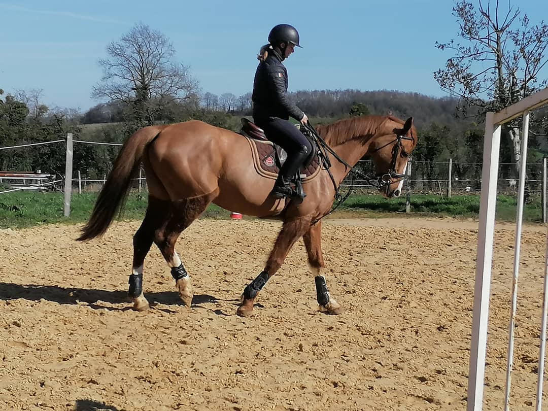 Photo de HAND IN CAP MOCALOU