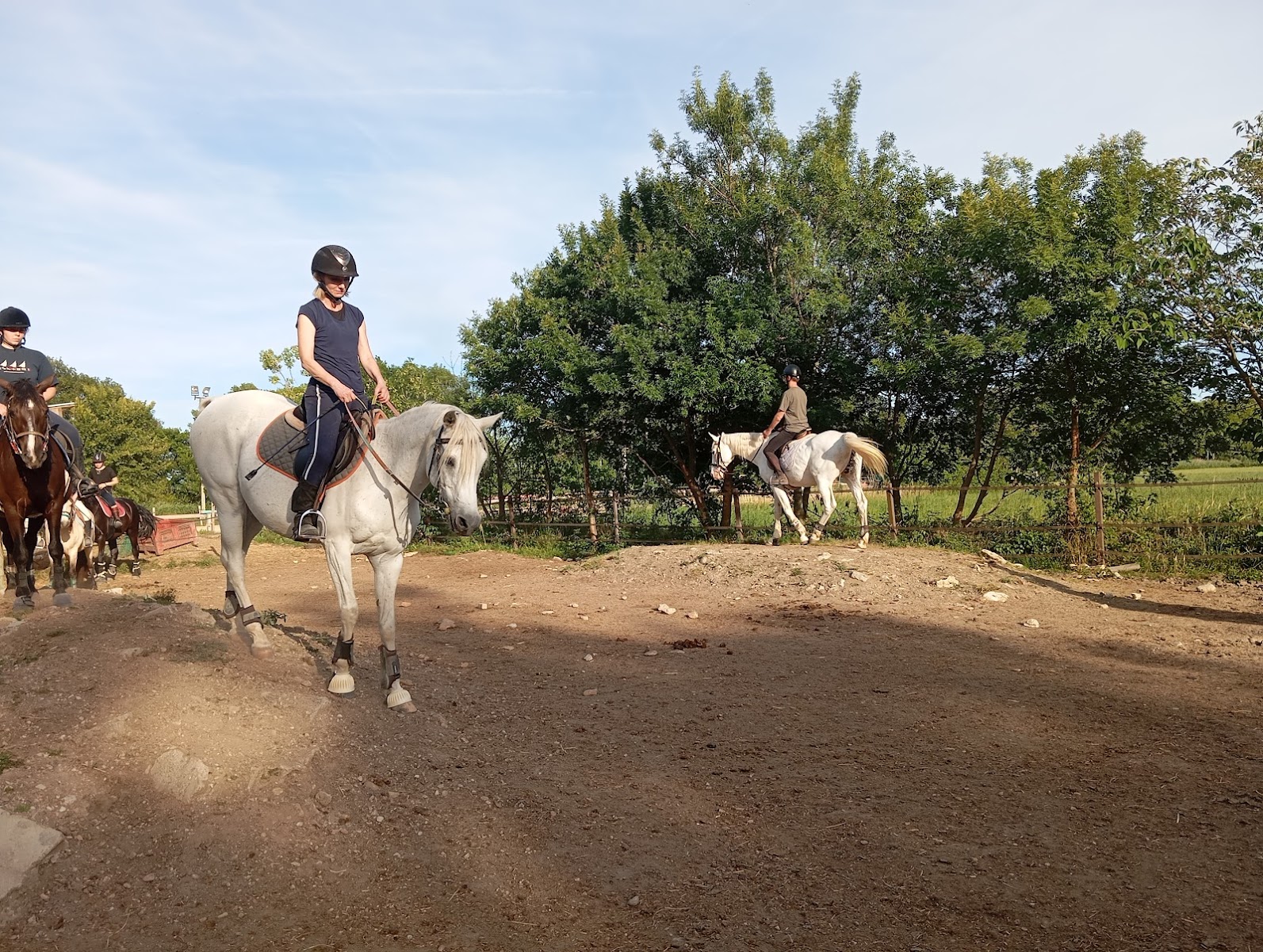 HARAS D ANIBERT