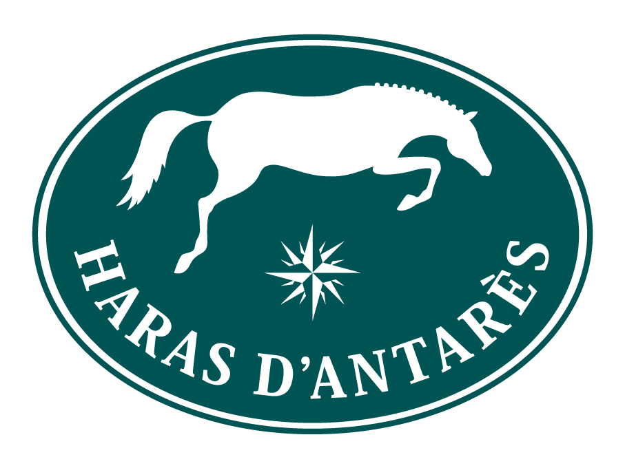 Photo de HARAS D ANTARES