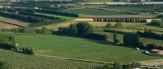 Photo de HARAS D AZUR