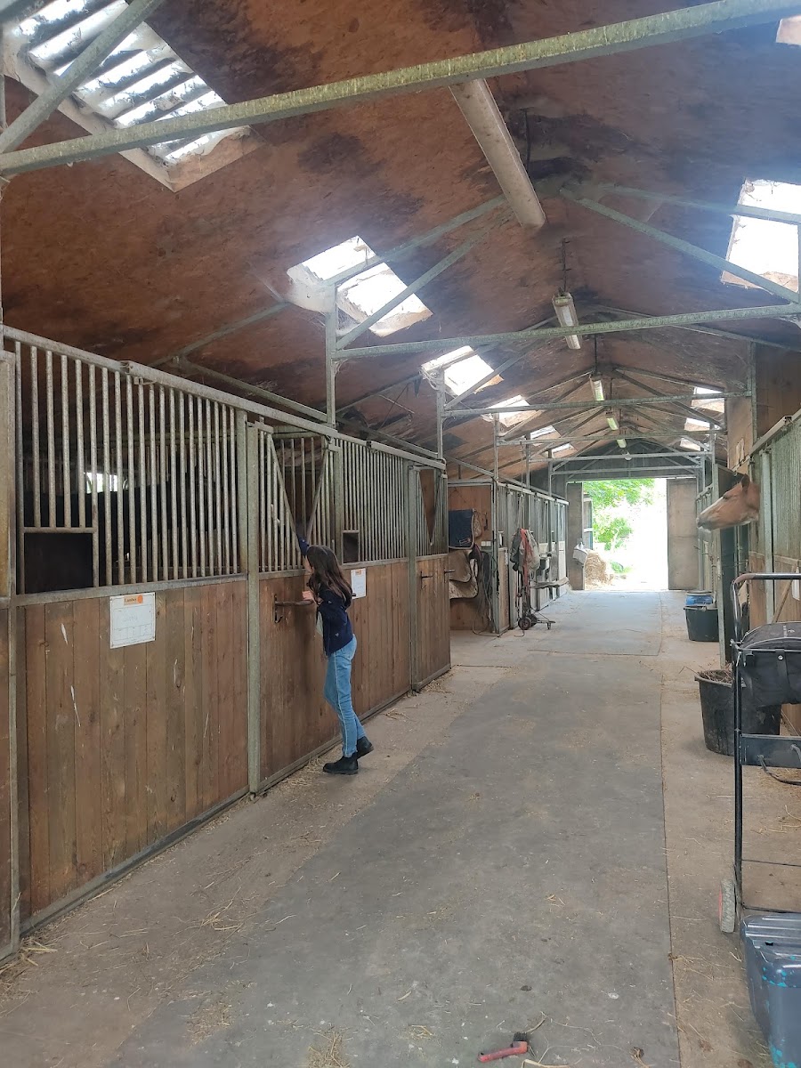 Photo de HARAS D ECOTIER