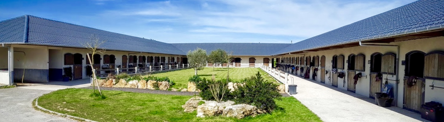 Photo de HARAS D ELOGE