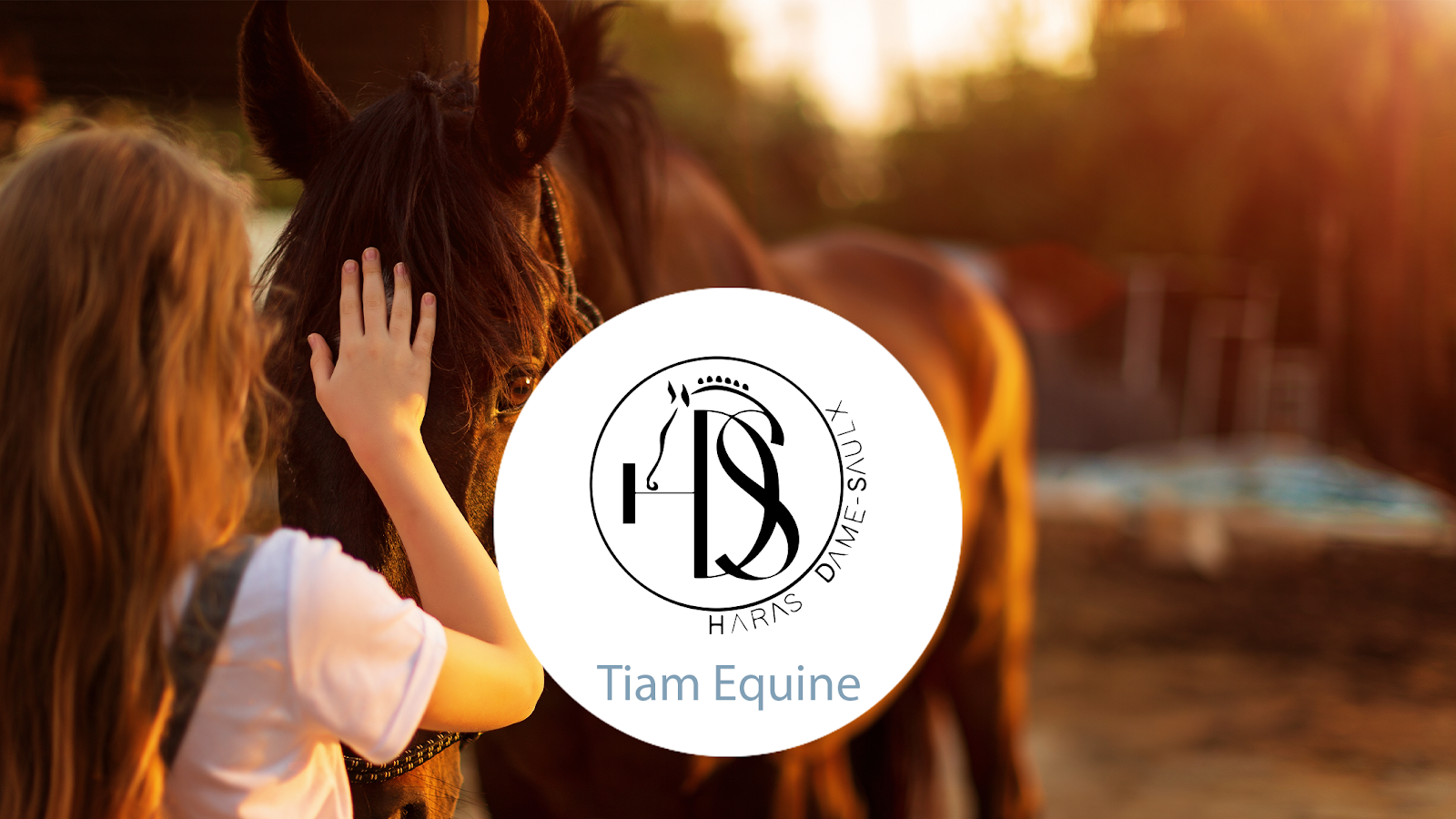 Photo de HARAS DAME SAULX