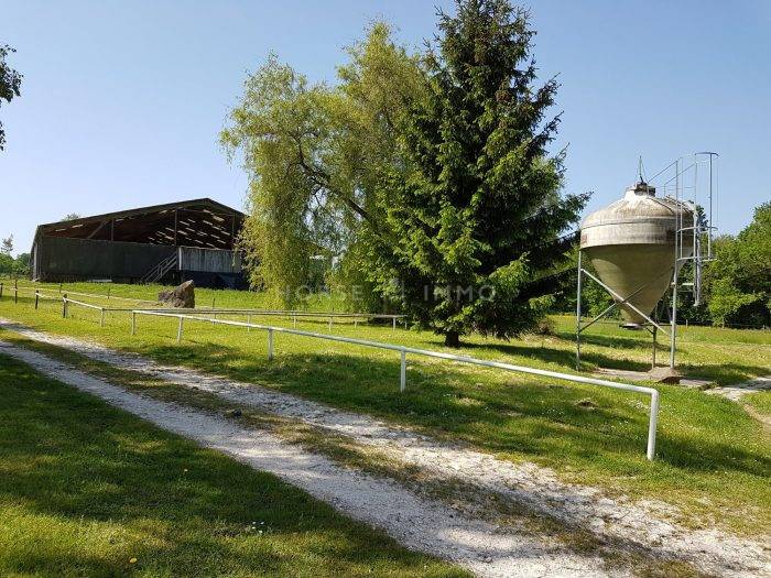 Photo de HARAS DE BEAUTHEIL SAINTS