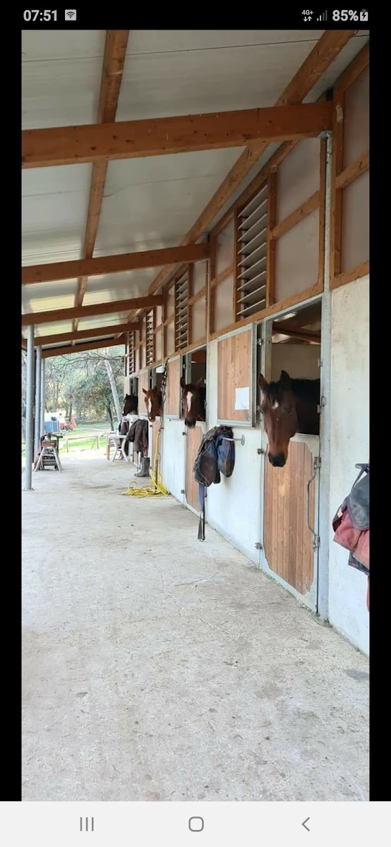 Photo de HARAS DE CASTILLE