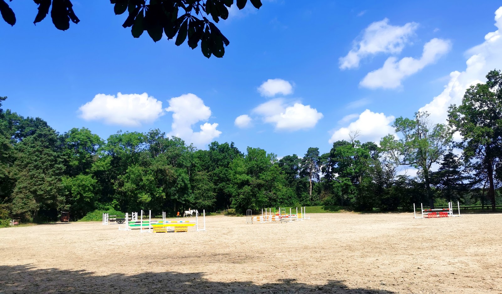 Photo de HARAS DE CHEVREUSE