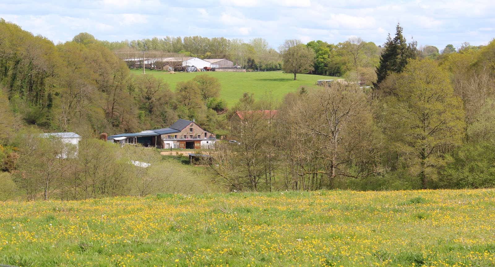 Photo de HARAS DE CRESME