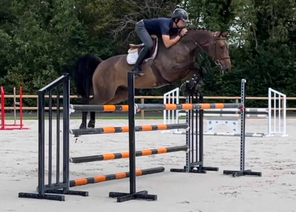 Photo de HARAS DE GENAINVILLE