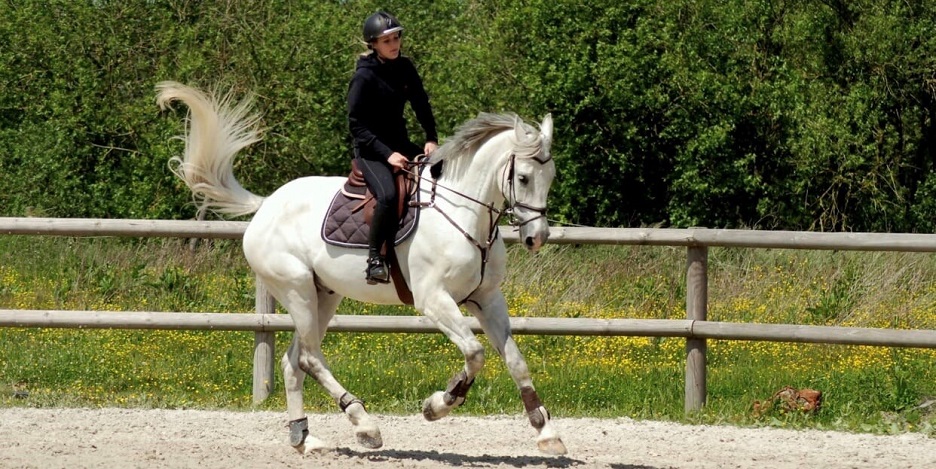 Photo de HARAS DE LA CANTERAINE