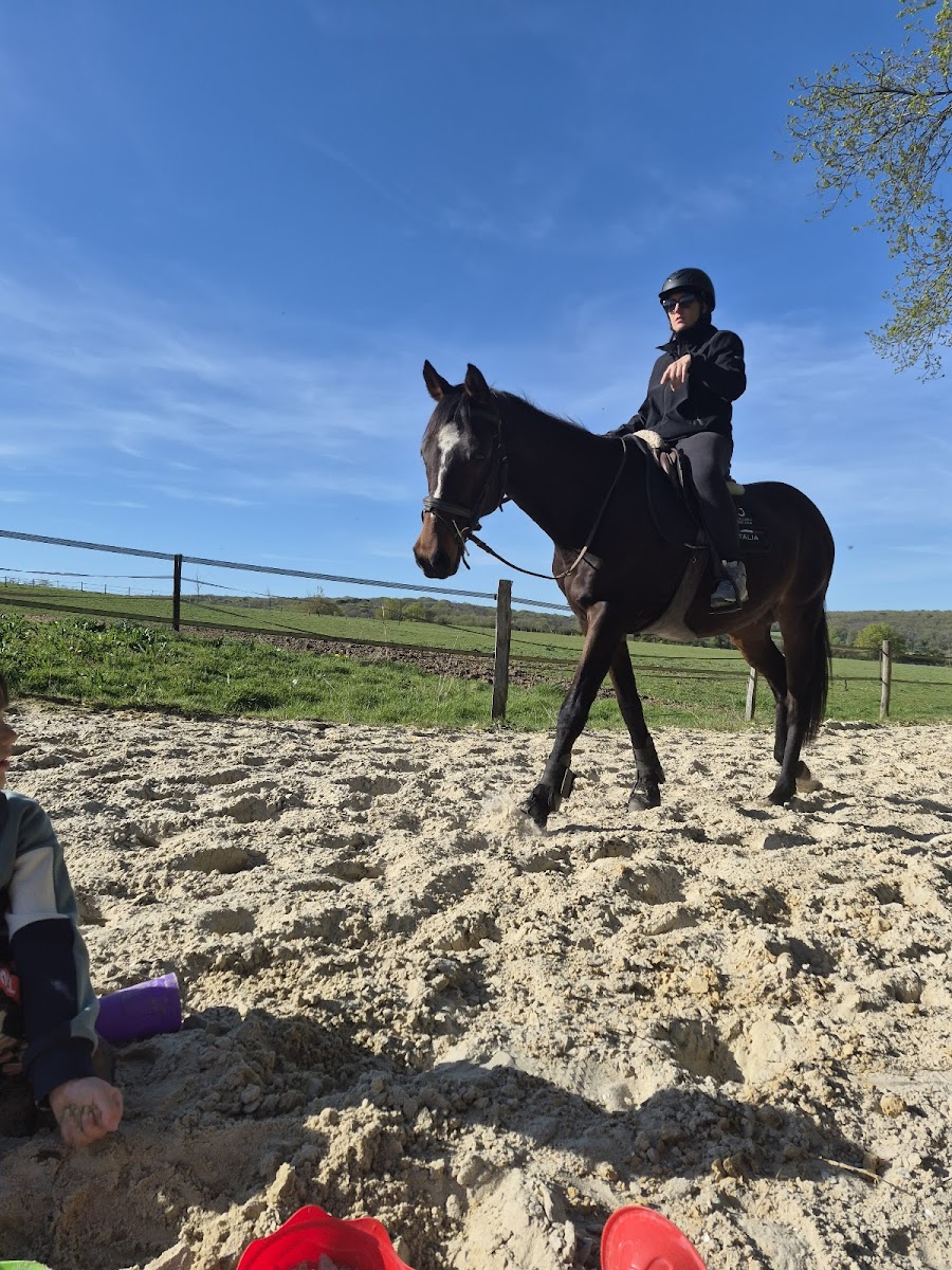 Photo de HARAS DE LA CASSAUDRY