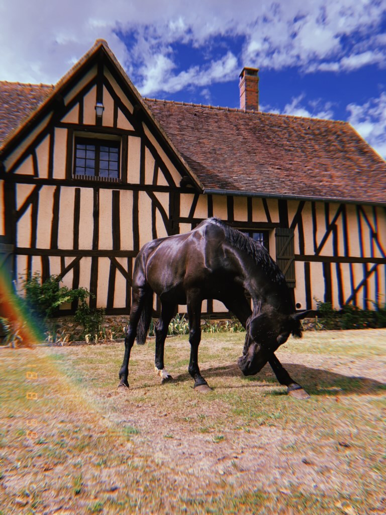 Photo de Haras de la Ferrandière