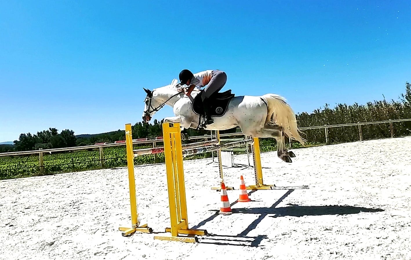 Photo de Haras de la Tuilière