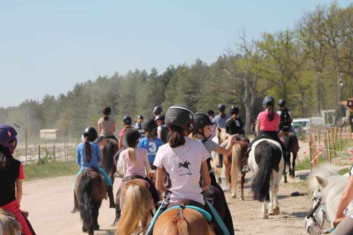 Photo de Haras de la Vallée