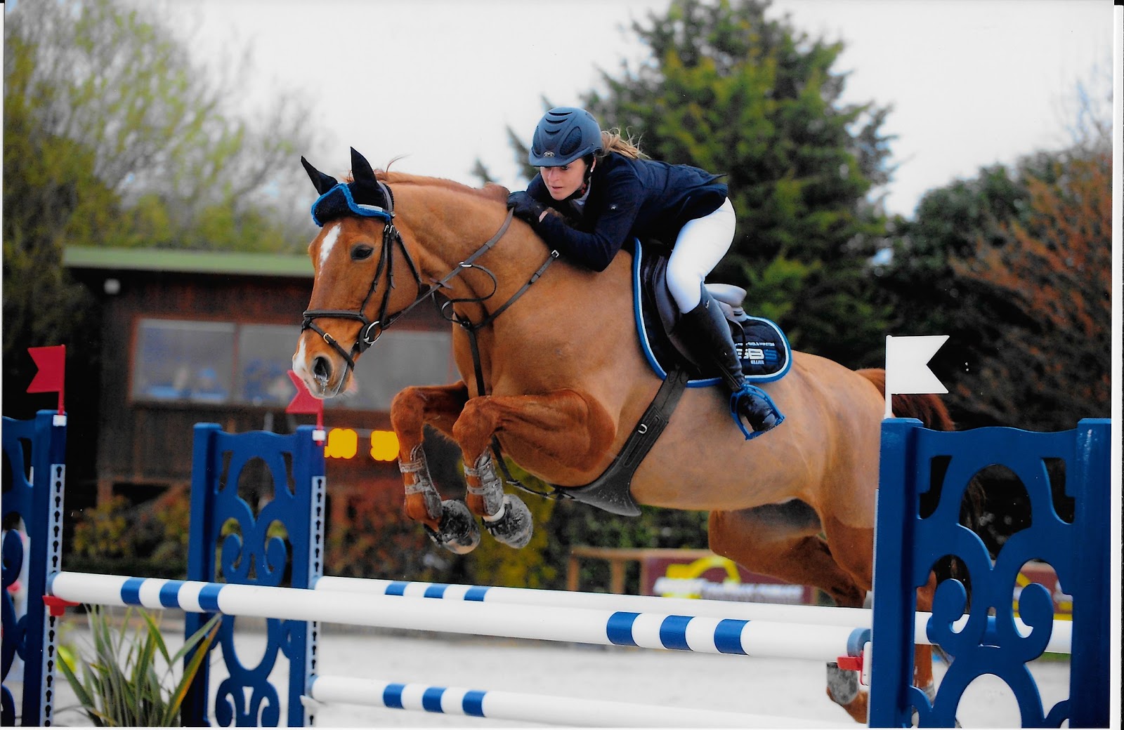Photo de HARAS DE LALEU