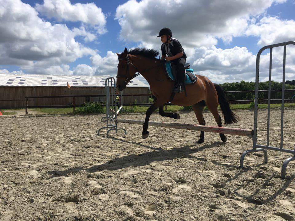 Photo de HARAS DE LUKOS