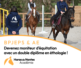Photo de Haras de Nantes Académie