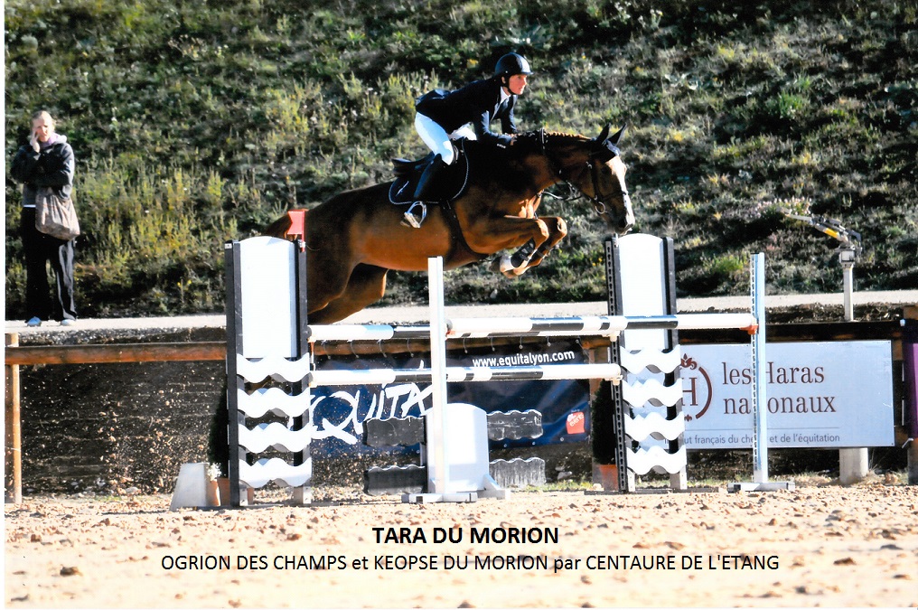 Photo de HARAS DE RABAT