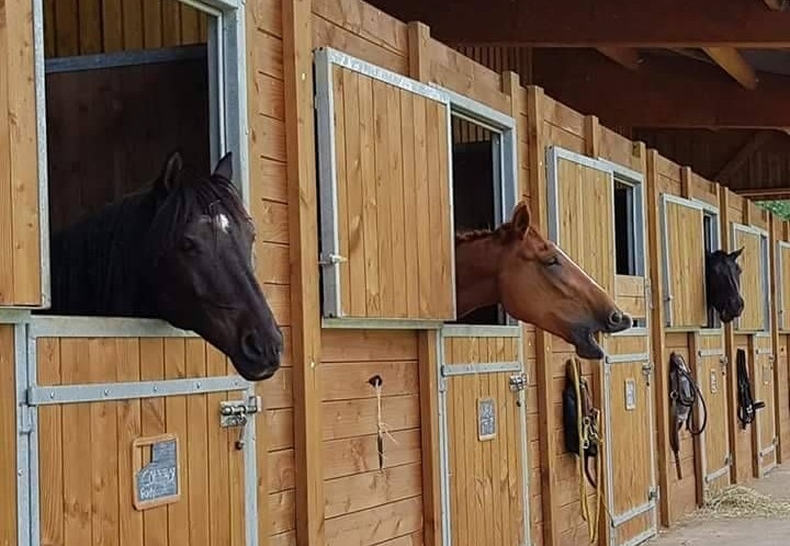 Photo de HARAS DE VALDOR
