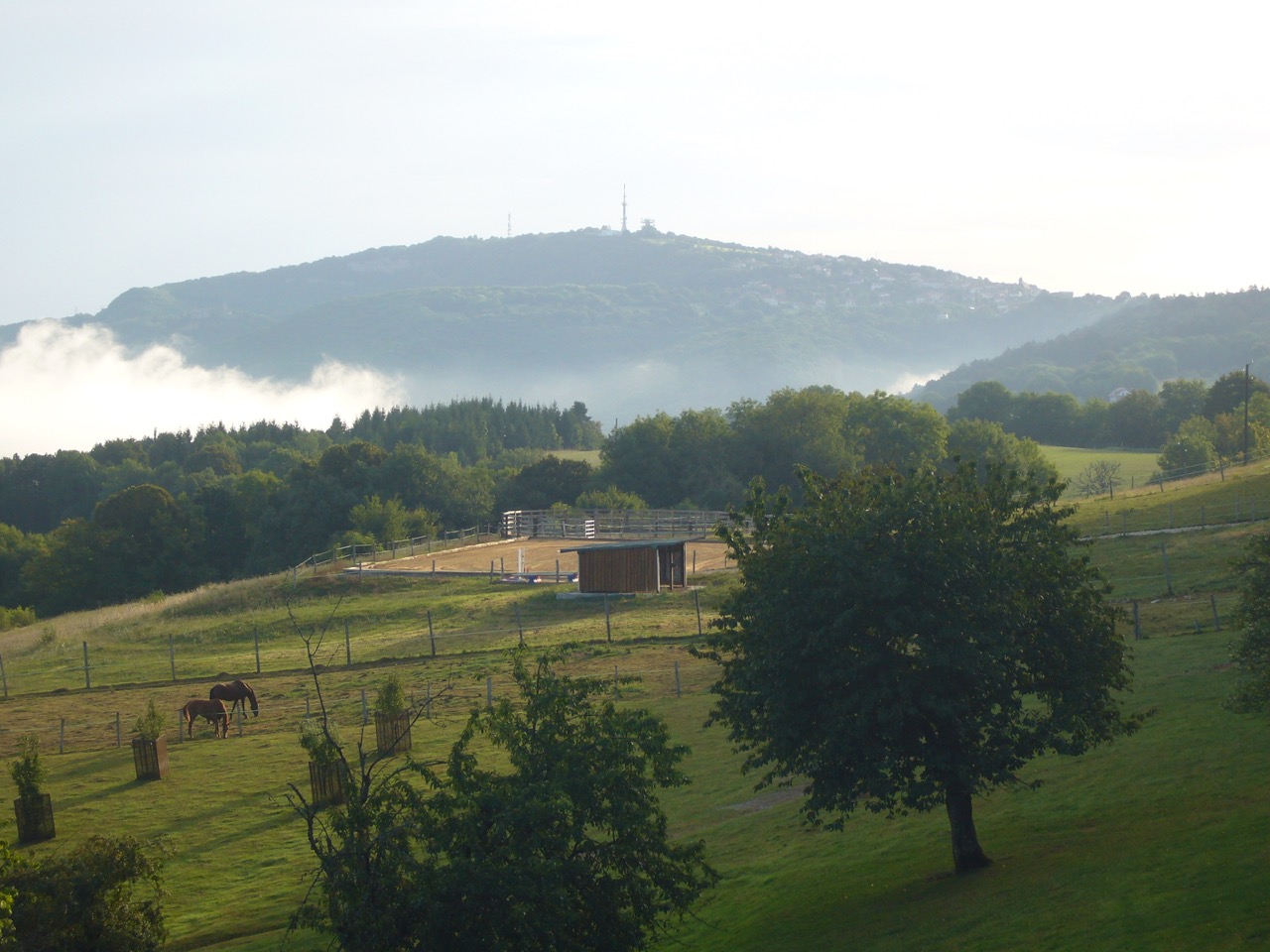 Photo de HARAS DE VESONTIO