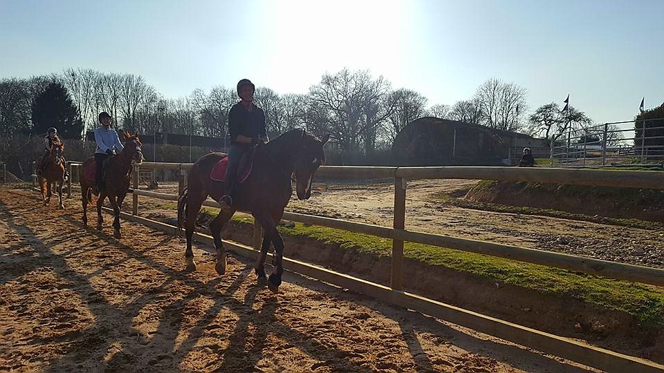 Photo de HARAS DE VILLECHETIVE