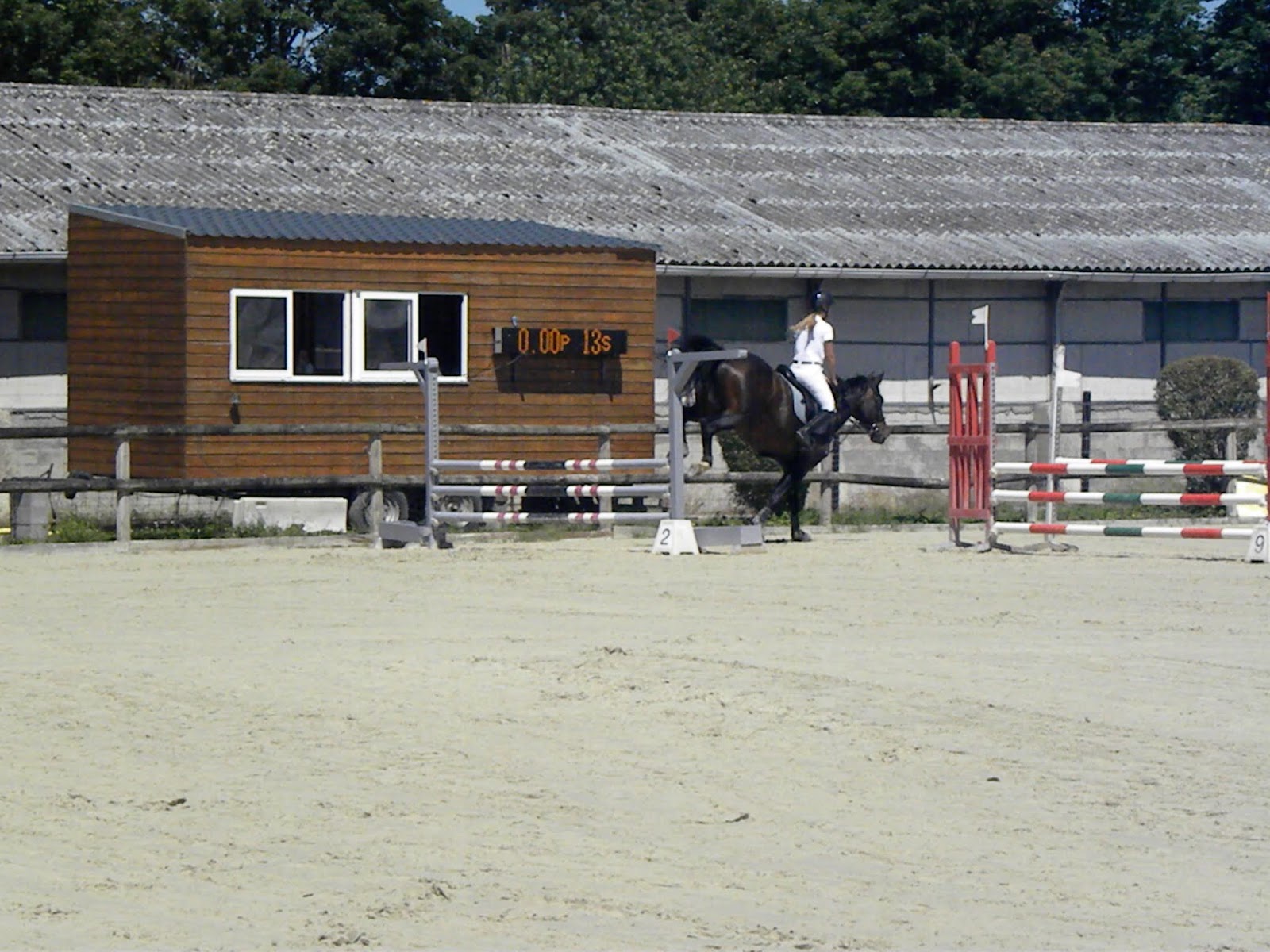 Photo de HARAS DES ANGES