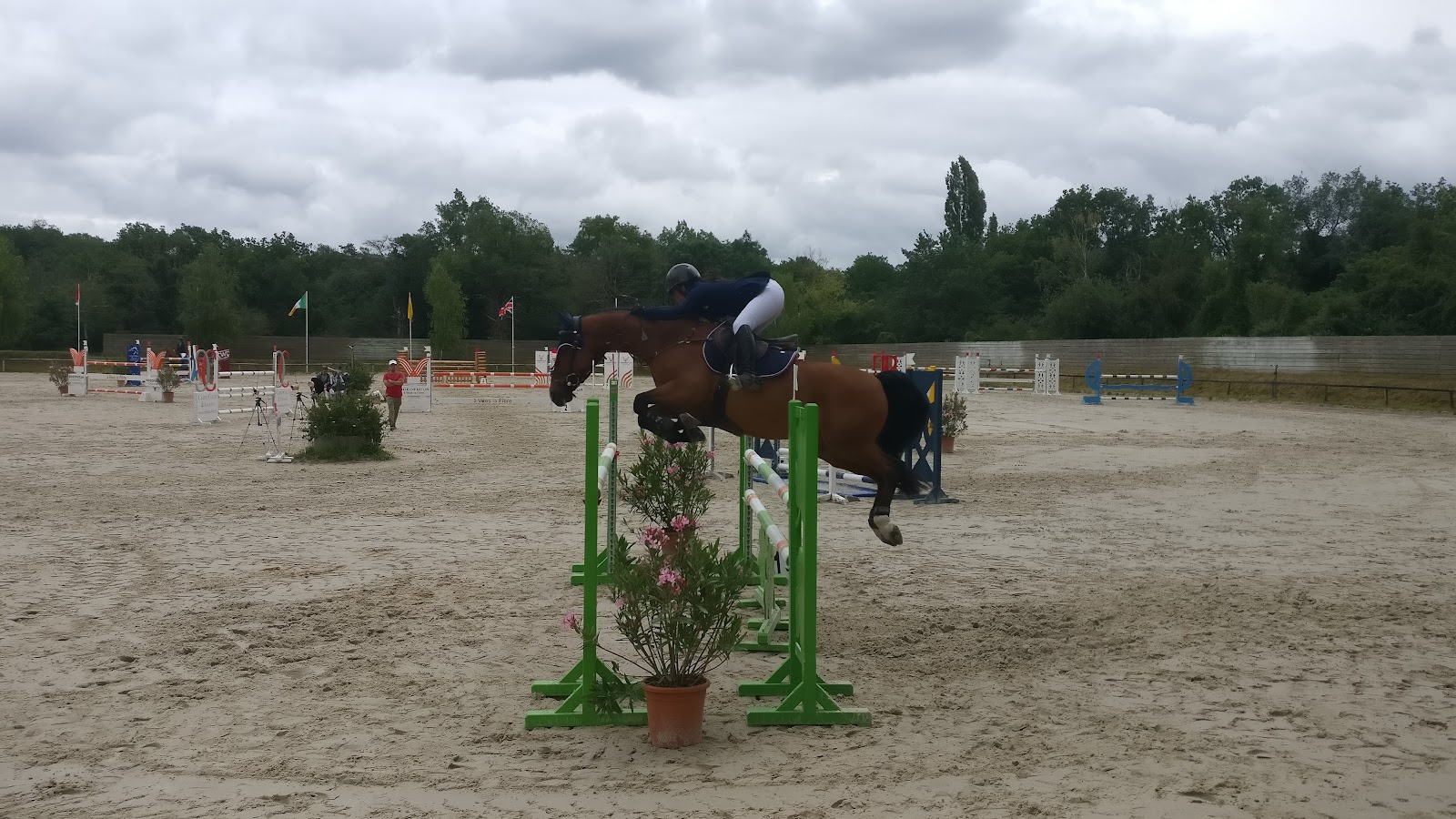 Photo de HARAS DES BRULYS