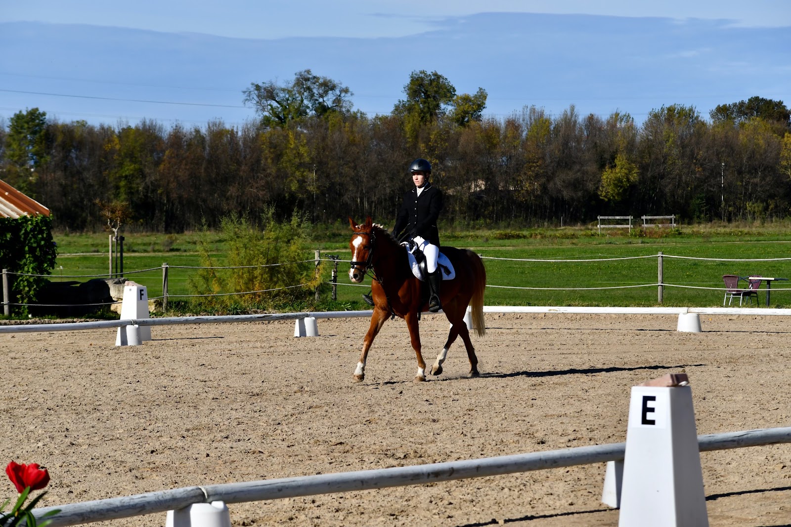 Photo de HARAS DES CANAUX MONTPELLIER OUEST
