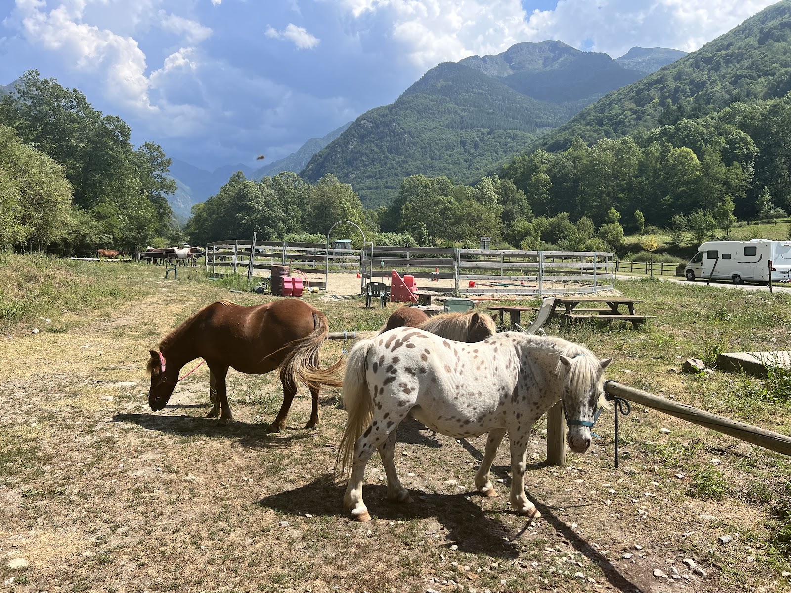 Photo de HARAS DES CIMES