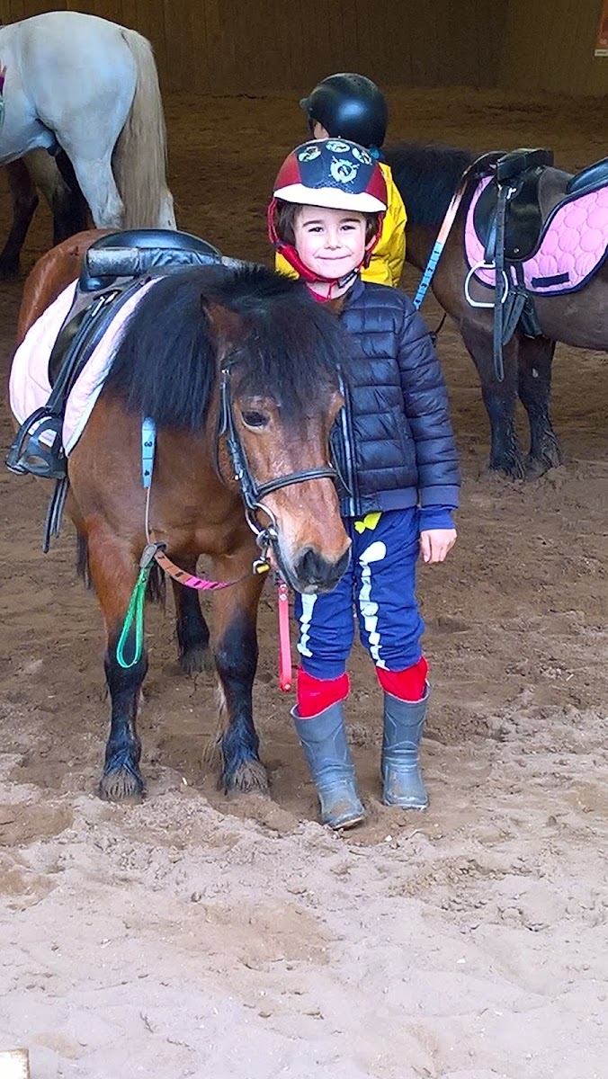 Photo de HARAS DES COURLIS