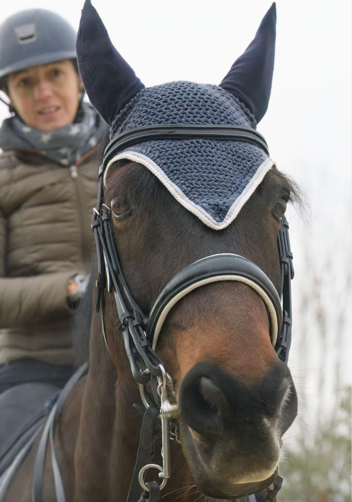 Photo de HARAS DES ISLES