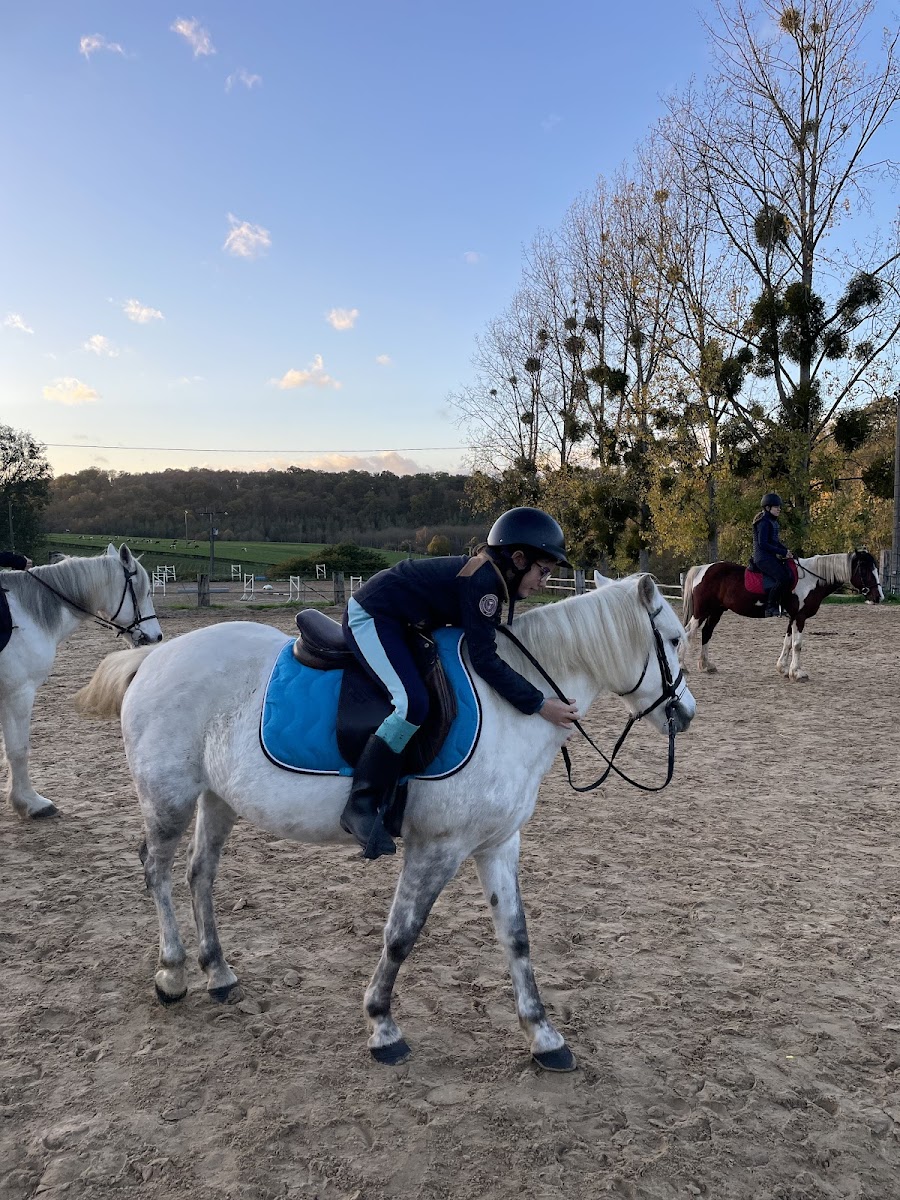 Photo de HARAS DES JONQUILLES