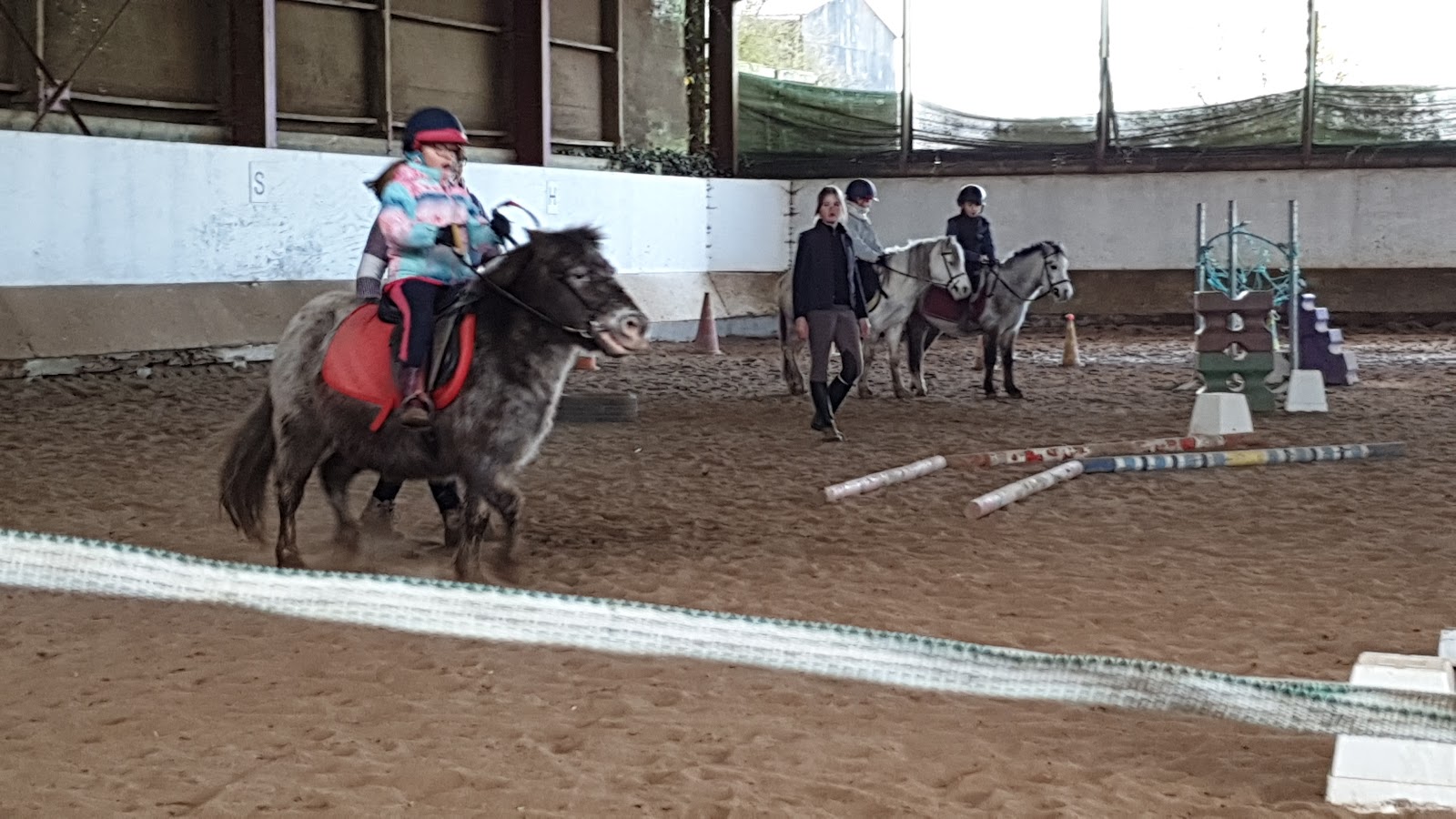 Photo de HARAS DES L