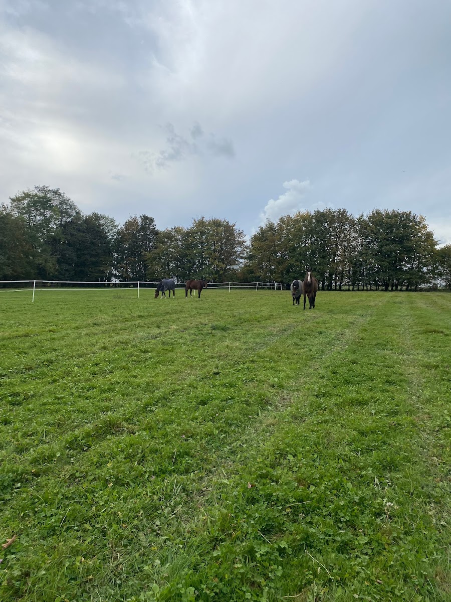 Photo de HARAS DES MAGNOLIAS