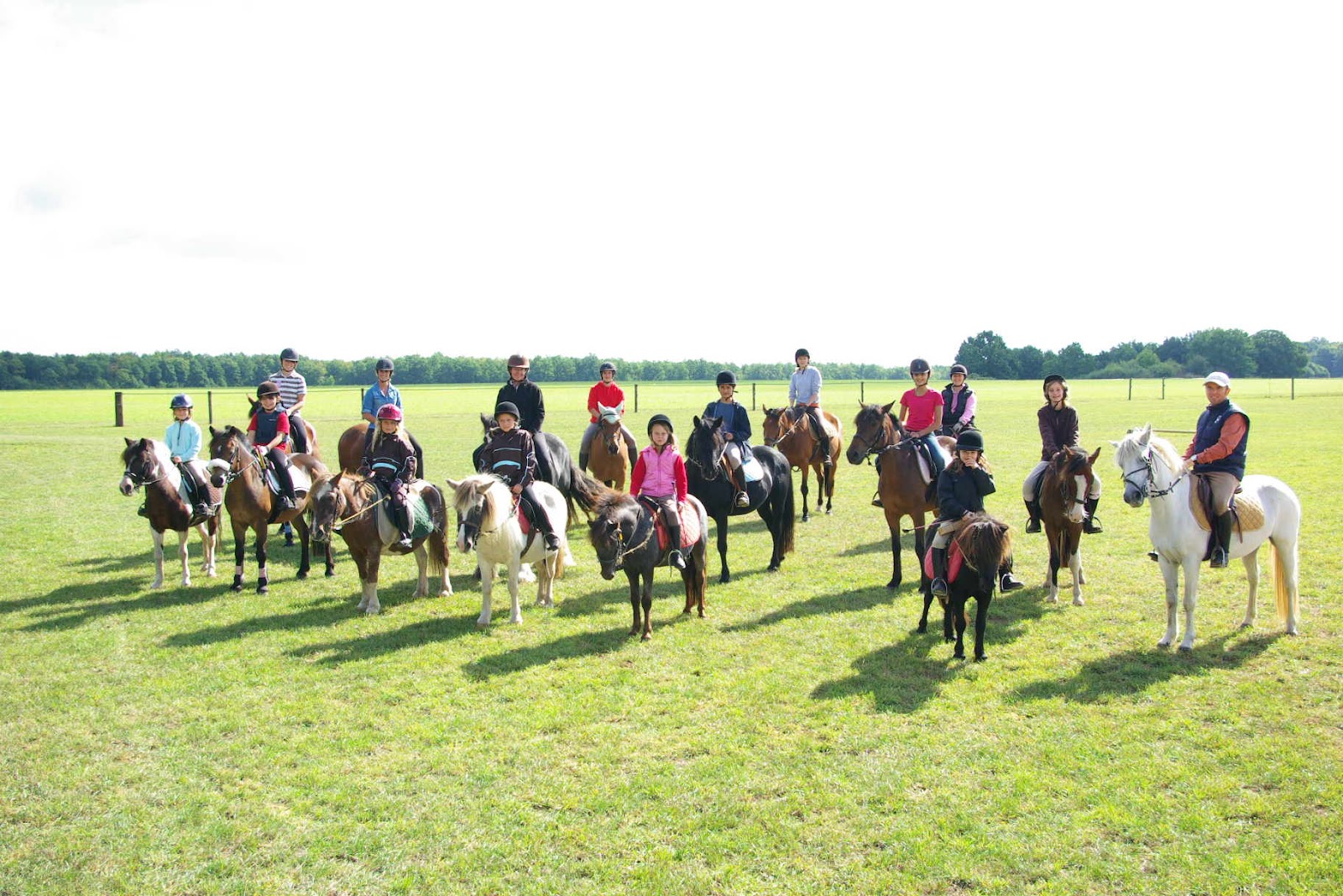 Photo de HARAS DES Ô
